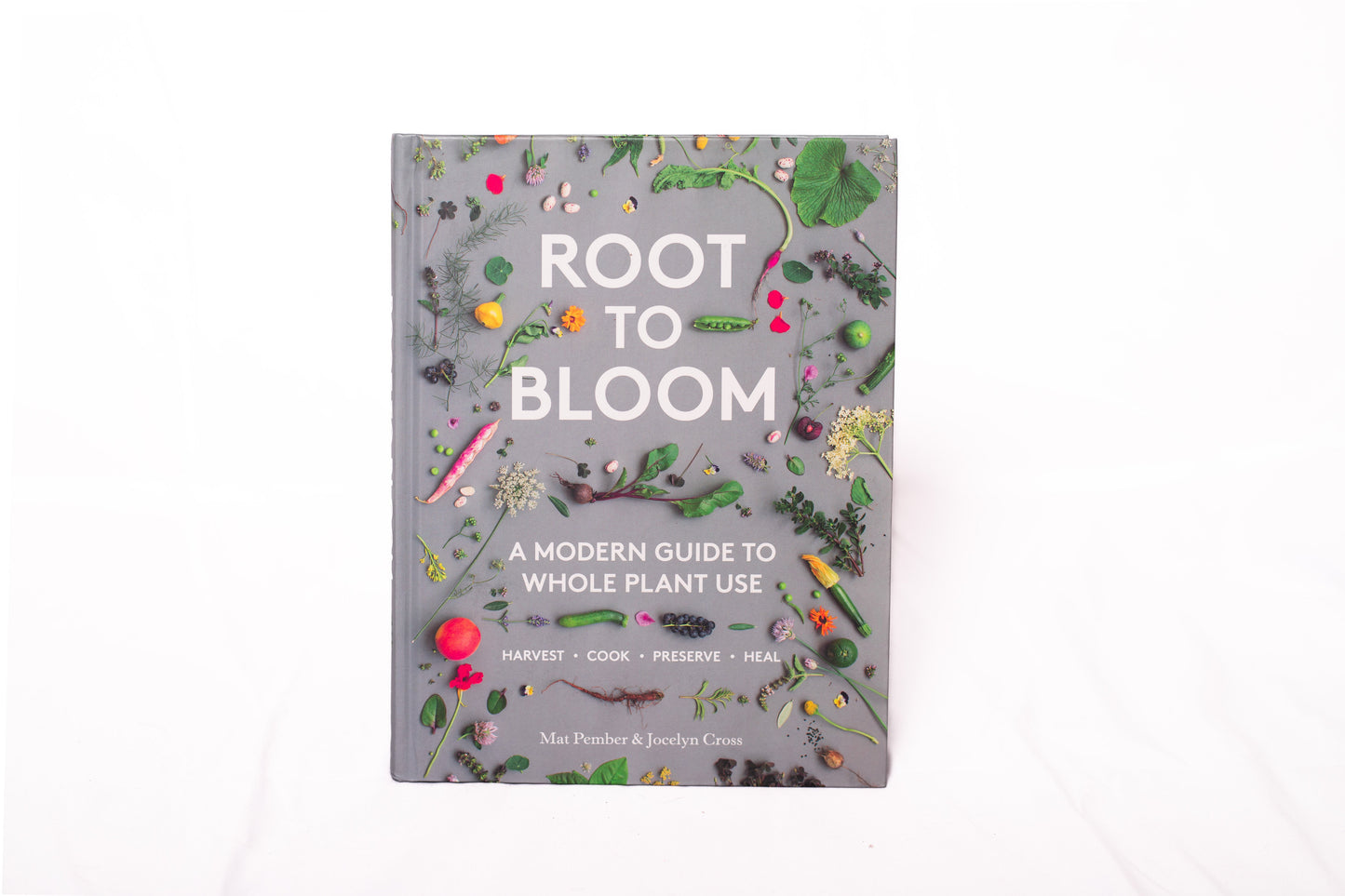 Root to Bloom