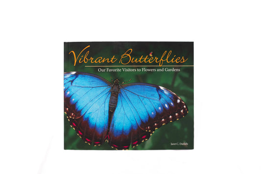 Vibrant Butterflies